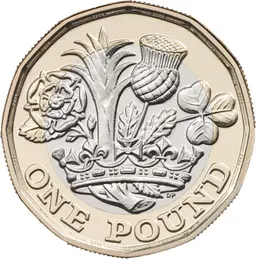 One Pound 2020 Image The Royal Mint